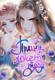 TPz0gdFlhe2X_250x350