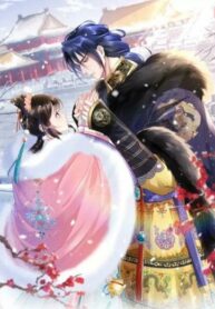 aN47464SFWk3_250x350