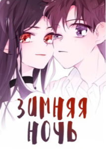 Зимняя Ночь
