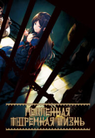 cover_250x350 — 2021-12-03T223946.988