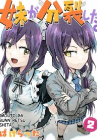 dFMKQjHZ8ART_250x350