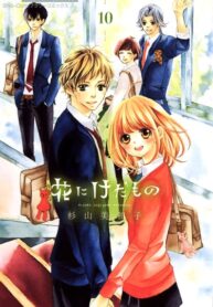 GOQNifPYLLDQ_250x350