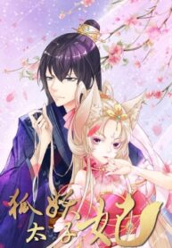 hd0qApboyNVD_250x350