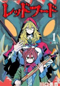 hmkSdvkvcHDE_250x350