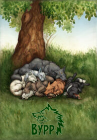 FVyx8j8ZQE8f_250x350