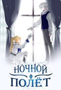 Ночной полёт