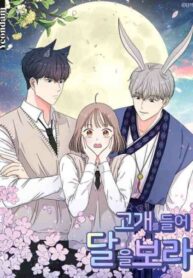 TOJ4HTO8NPol_250x350