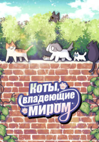 rt3btHcRFOzt_250x350