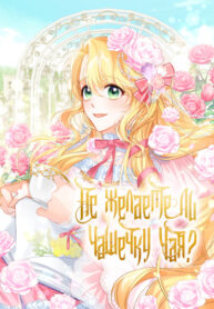 ISz8fBBptAXk_250x350