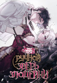 BXzK3nxBeFXS_250x350