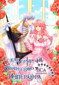 prH2Fbb2eoFO_250x350