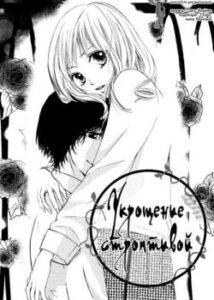 Укрощение строптивой (Toraware Beast)