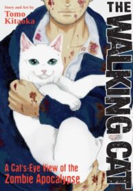 qJlSlyAitLb5_250x350