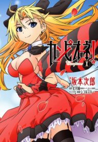 BsbZzvyYdfjR_250x350