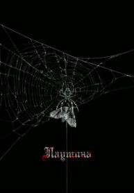 sTqWMoIlpnH4_250x350