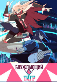 OXUqxitjaqic_250x350