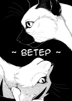 Ветер
