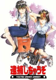 X9LBcjWkvOx7_250x350