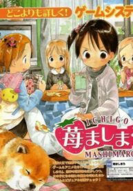 JeZ9BWQjCsJQ_250x350