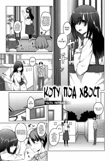 Коту под хвост