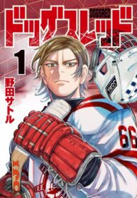 z16FIC36i1Km_250x350