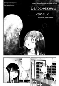 djT9PEvT5eMP_250x350