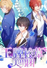 Y8SkwytIJ9Hb_250x350