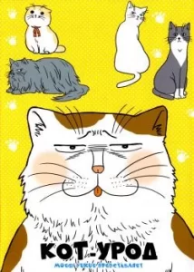Кот-урод