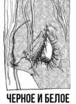 x0xbAVnPAe43_250x350