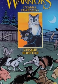 1qJILCENP0Ca_250x350