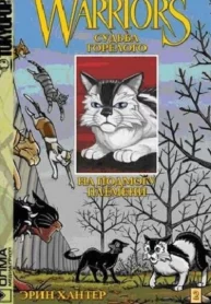 2FlVLlJSNS3V_250x350