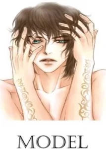 Модель / Model (Miso)