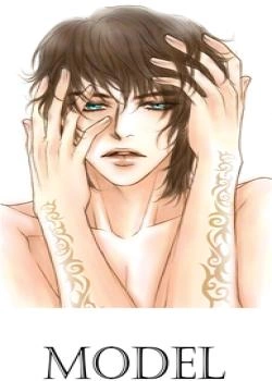 Модель / Model (Miso)