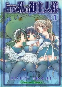 Он мой господин (Kore ga Watashi no Goshujin-sama)