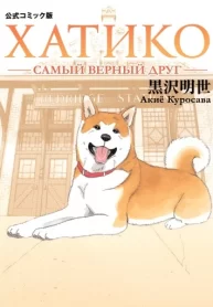 VjpUx9orKN9c_250x350