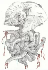 WhIs9GYm463B_250x350