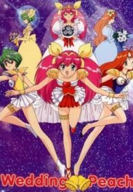 cover_250x350 — 2025-01-02T183747.230