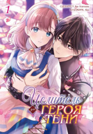 cover_Целитель Героя Тени