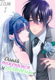 cover_Давай поженимся с мыслью о разводе