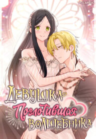 cover_Девушка, поглотившая волшебника