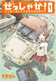 cover_Дзэссяка!