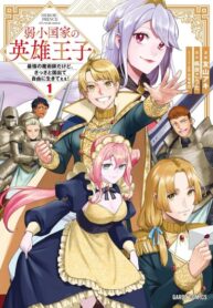 cover_Герой-принц слабого королевства