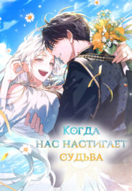 cover_Когда нас настигает судьба