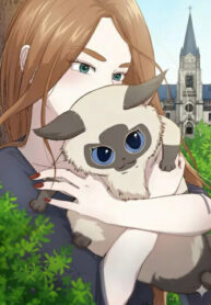 cover_Кошка-ведьма Либри