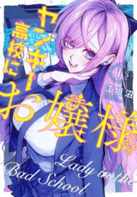 cover_Леди в школе хулиганов