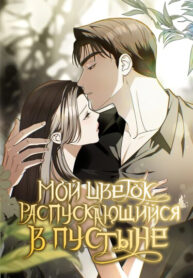 cover_Мой цветок, распускающийся в пустыне