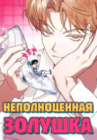 cover_Неполноценная Золушка