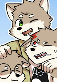 cover_Братья Волки