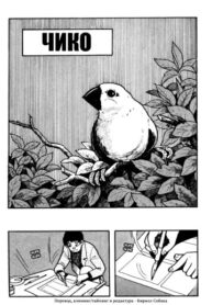 cover_Чико