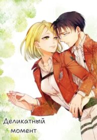 cover_Деликатный момент